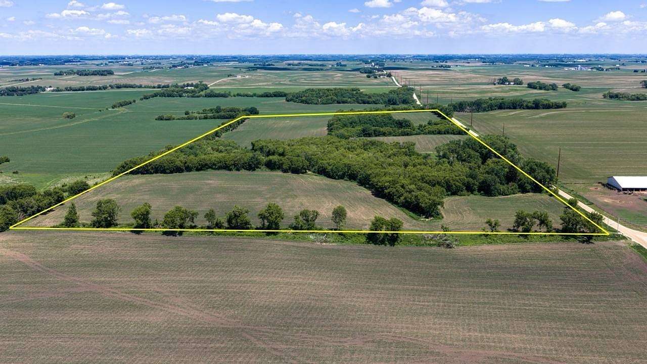 78 Acres of Land for Sale in Elgin, Minnesota
