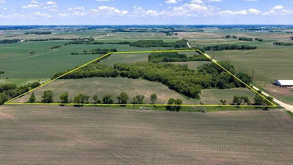 78 Acres of Land for Sale in Elgin, Minnesota