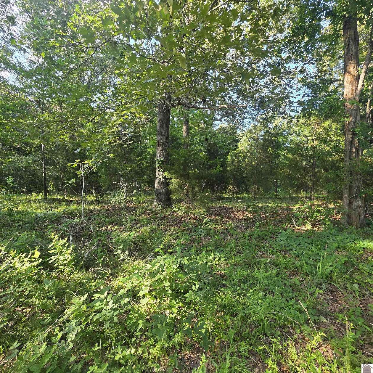 0.92 Acres of Residential Land for Sale in Benton, Kentucky