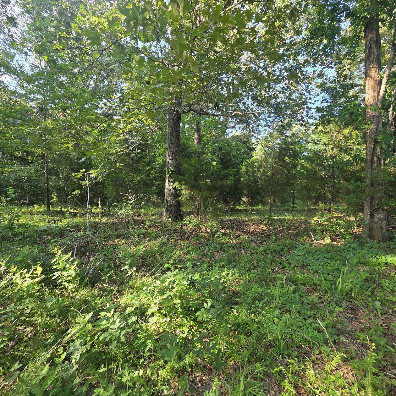 0.92 Acres of Residential Land for Sale in Benton, Kentucky