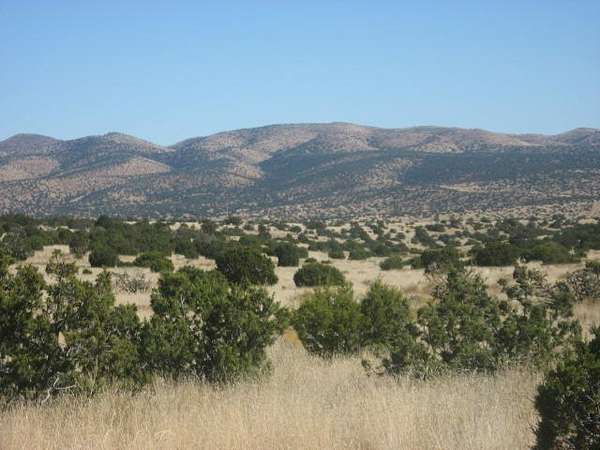 20 Acres of Land for Sale in Magdalena, New Mexico