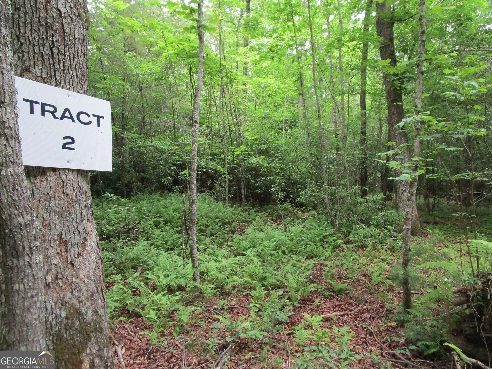 11.8 Acres of Land for Sale in Ellijay, Georgia