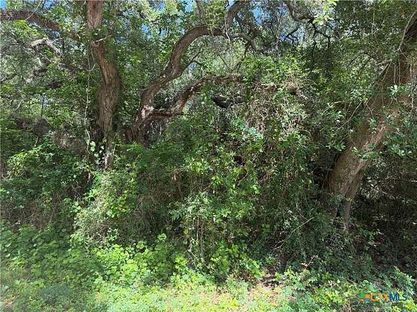 0.12 Acres of Residential Land for Sale in Palacios, Texas