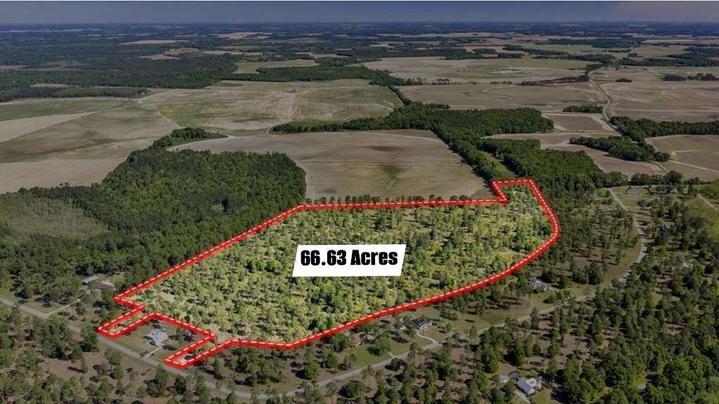 66.6 Acres of Land for Sale in Cordele, Georgia
