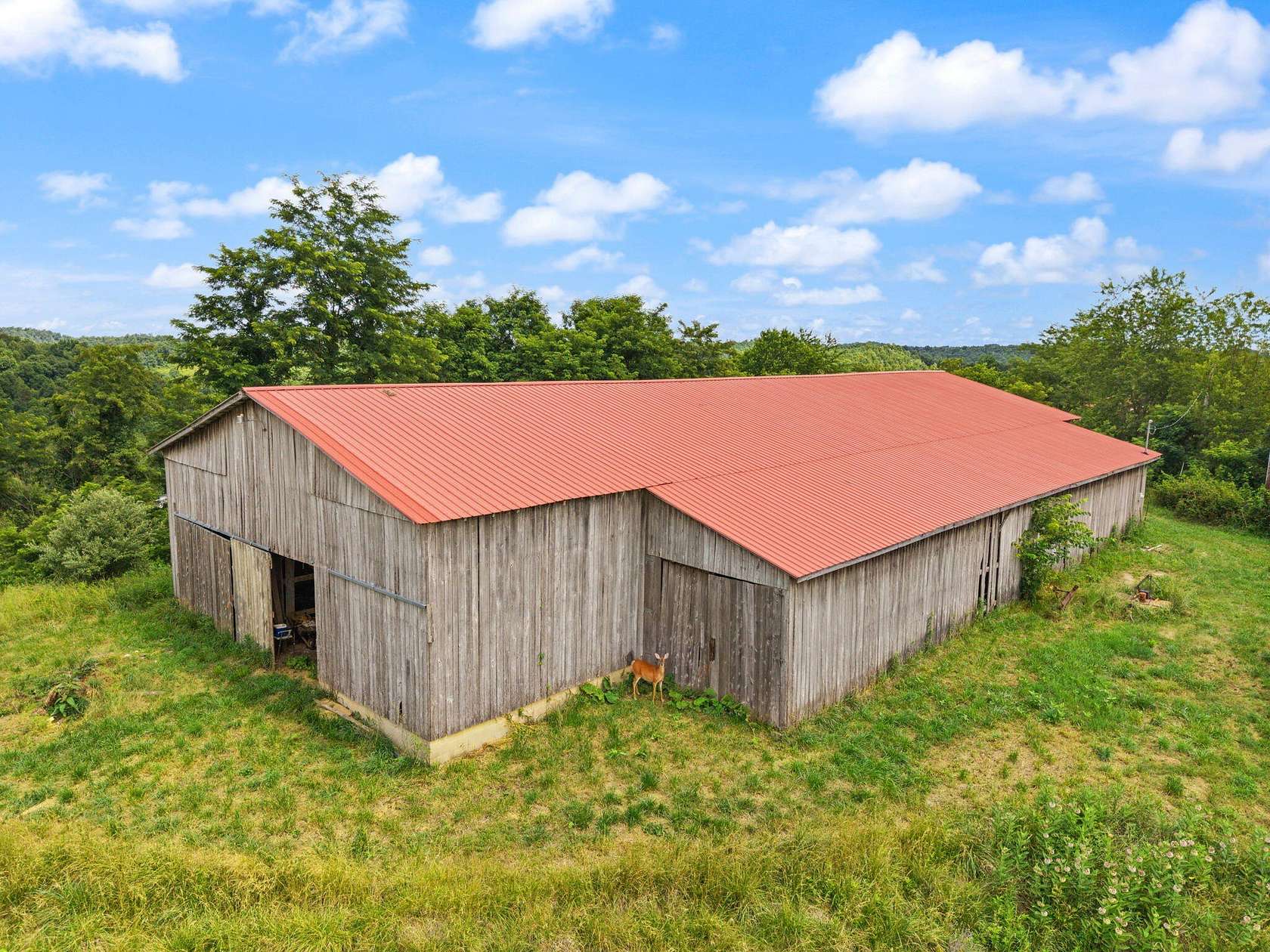 12 Acres of Land for Sale in Olive Hill, Kentucky