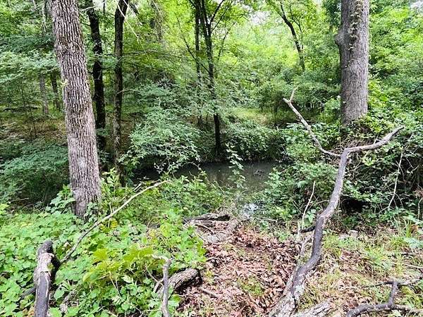 24 Acres of Recreational & Residential Land for Sale in Fruitvale, Texas