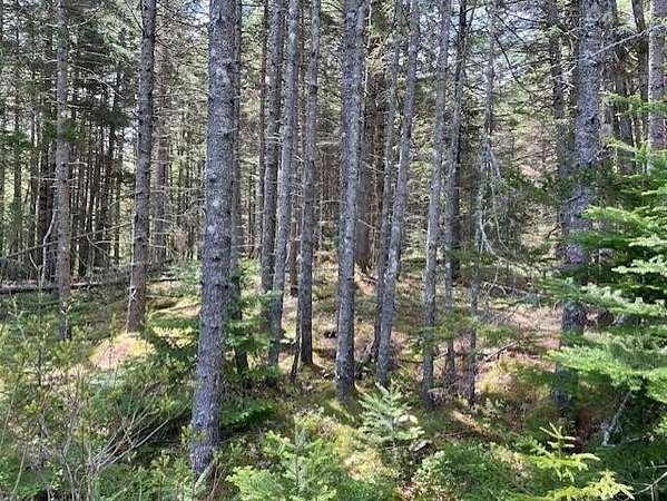 1.24 Acres of Residential Land for Sale in Cushing, Maine