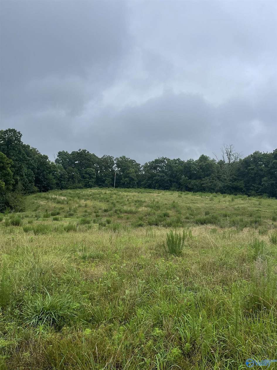 41 Acres of Land for Sale in Arab, Alabama