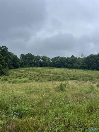 41 Acres of Land for Sale in Arab, Alabama