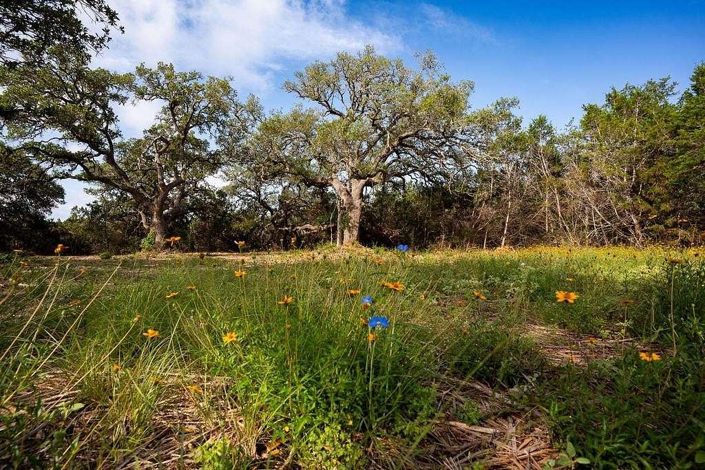 10 Acres of Land for Sale in Dripping Springs, Texas
