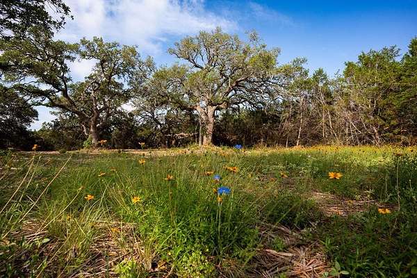 10 Acres of Land for Sale in Dripping Springs, Texas