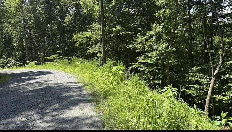 0.78 Acres of Residential Land for Sale in Ellijay, Georgia
