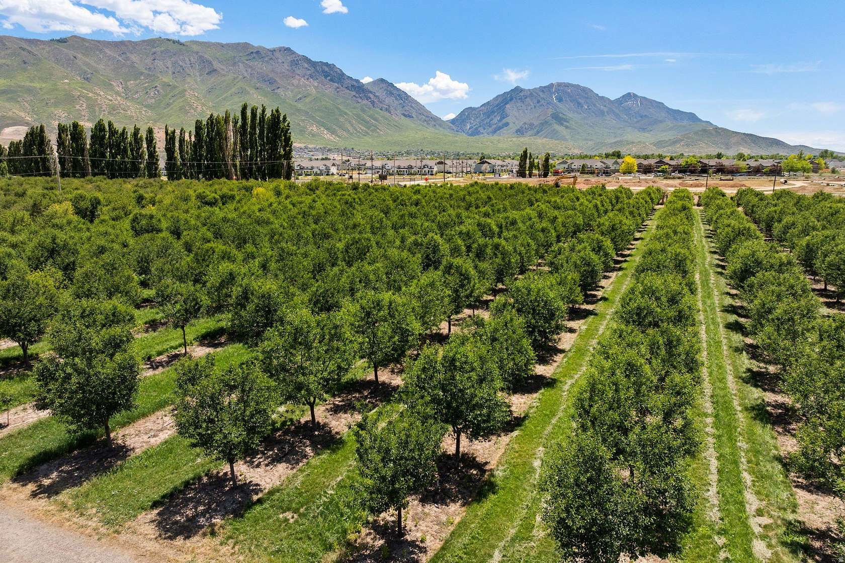35 Acres of Agricultural Land for Sale in Santaquin, Utah
