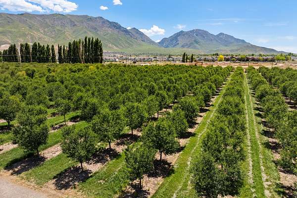 35 Acres of Agricultural Land for Sale in Santaquin, Utah
