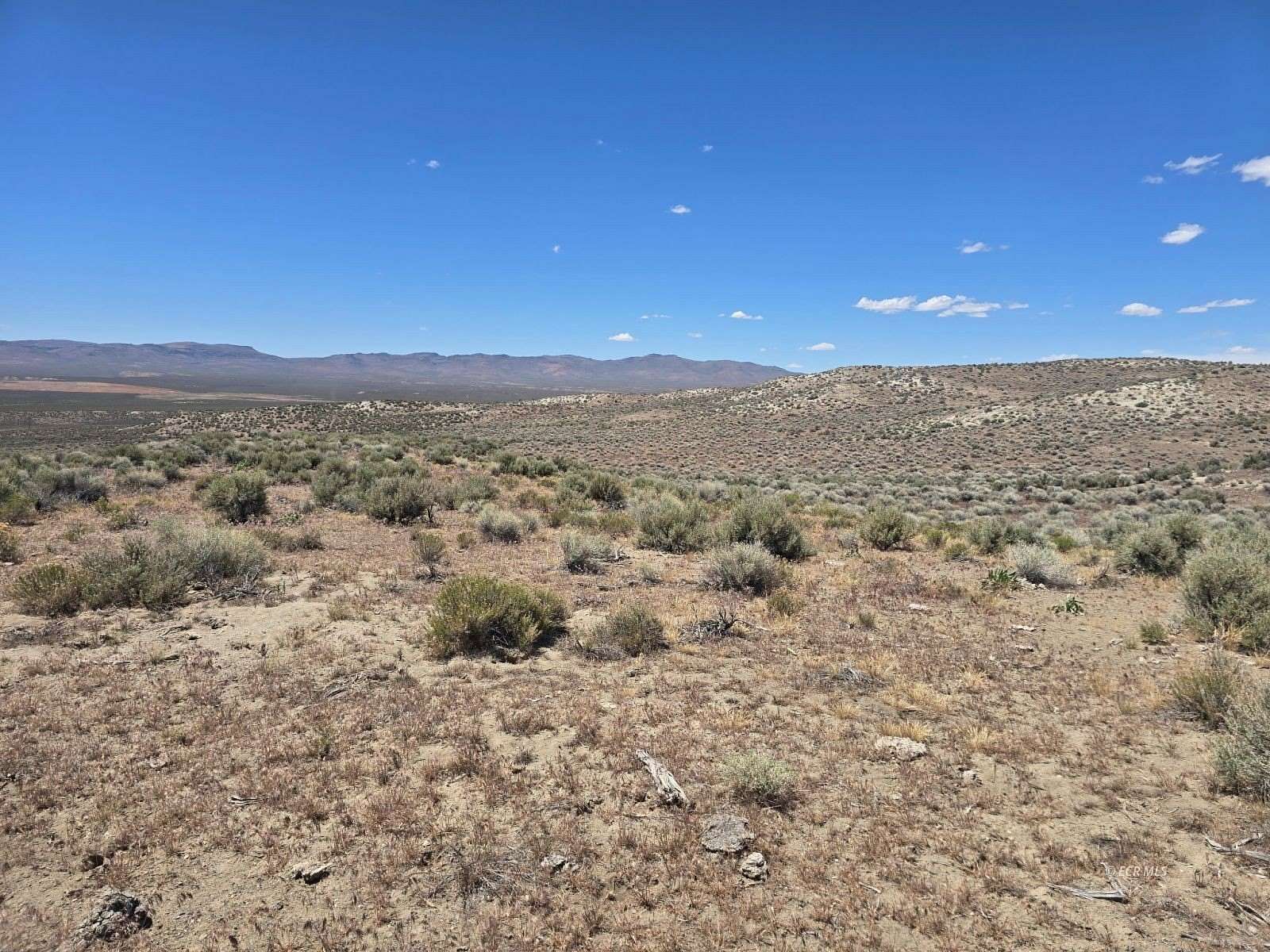 40 Acres of Land for Sale in Ryndon, Nevada