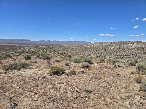 40 Acres of Land for Sale in Ryndon, Nevada