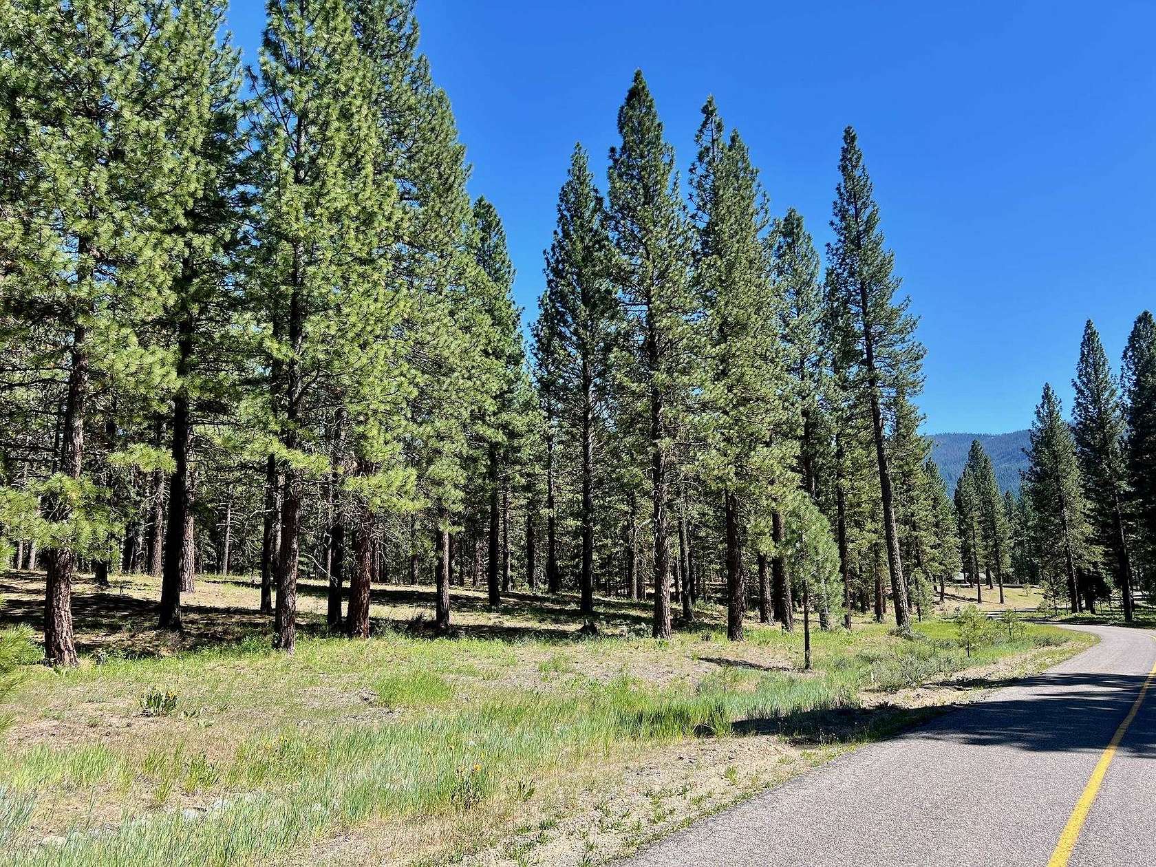 2.54 Acres of Residential Land for Sale in Clio, California