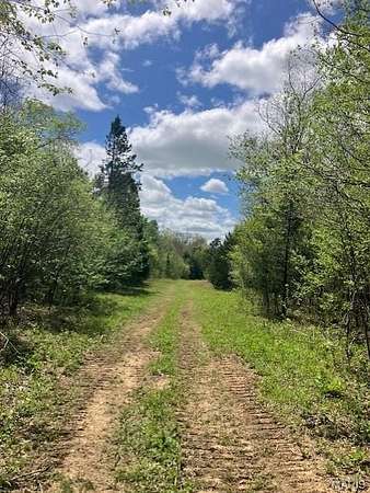 18 Acres of Recreational & Residential Land for Sale in Fredericktown, Missouri