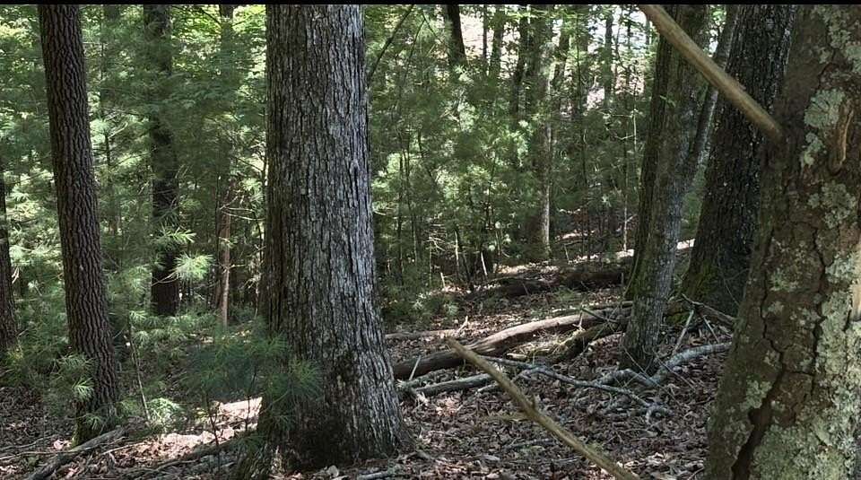 0.96 Acres of Residential Land for Sale in Ellijay, Georgia