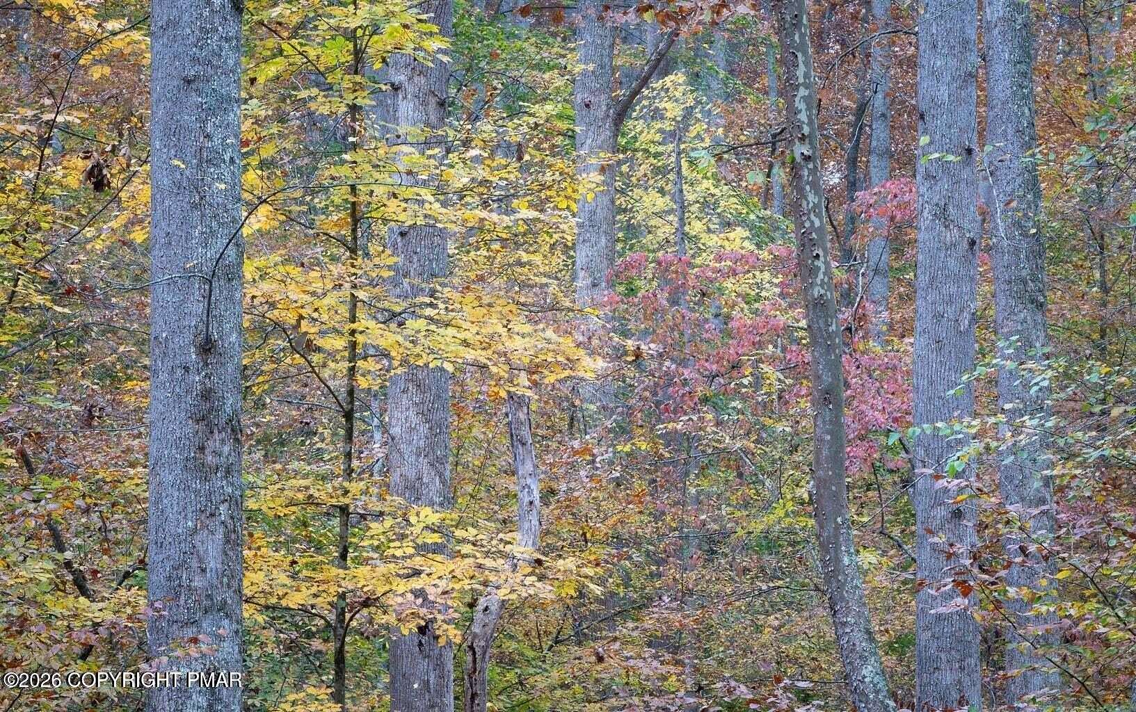 0.36 Acres of Residential Land for Sale in Newfoundland, Pennsylvania