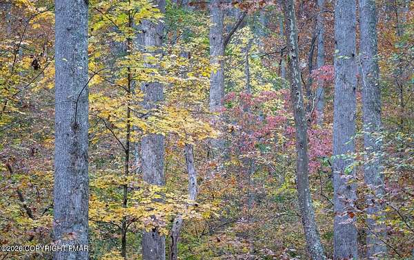 0.36 Acres of Residential Land for Sale in Newfoundland, Pennsylvania