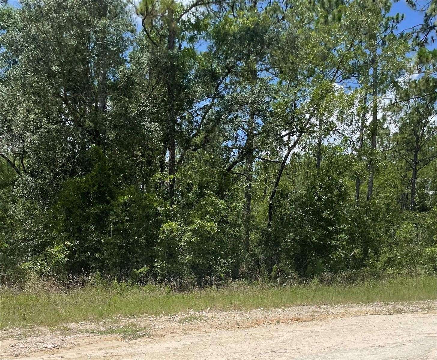 1.34 Acres of Residential Land for Sale in Ocala, Florida