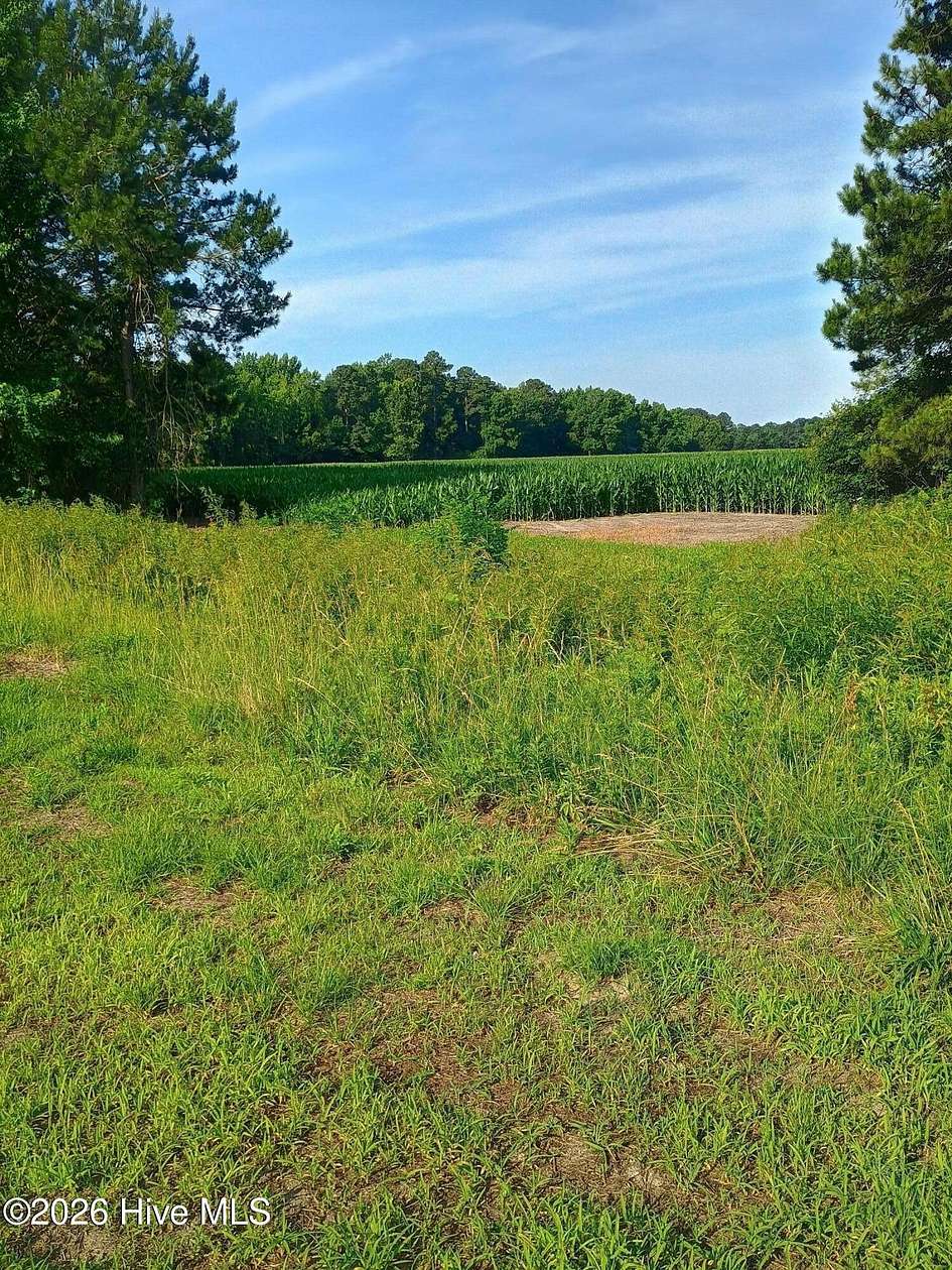 23 Acres of Agricultural Land for Sale in Chadbourn, North Carolina