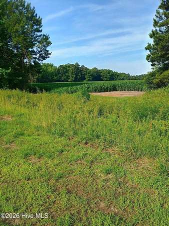 23 Acres of Agricultural Land for Sale in Chadbourn, North Carolina