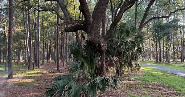 0.44 Acres of Residential Land for Sale in Daufuskie Island, South Carolina