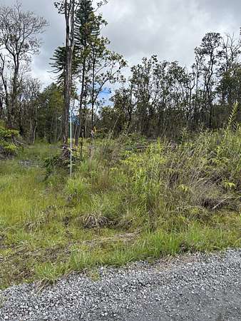 3 Acres of Residential Land for Sale in Volcano, Hawaii