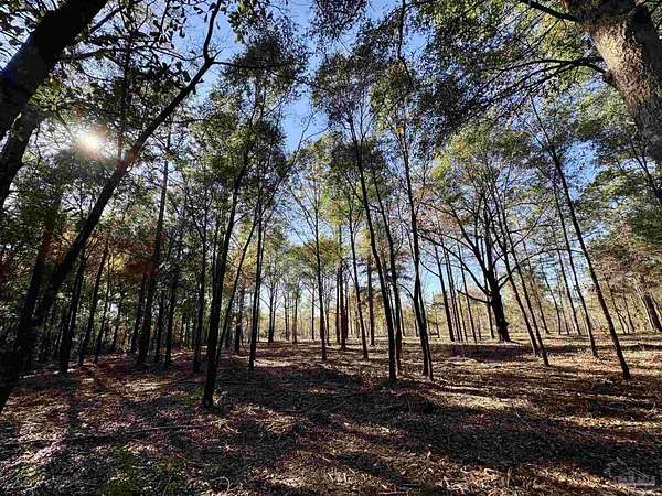 3.65 Acres of Residential Land for Sale in Crestview, Florida