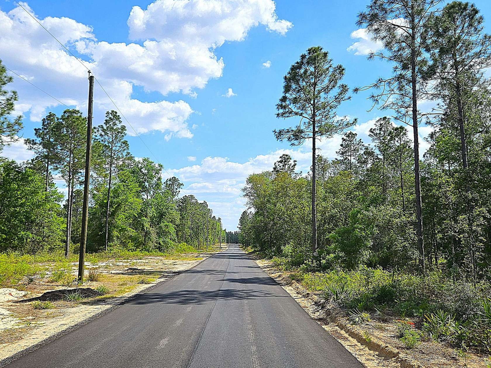 2.19 Acres of Land for Sale in Blackshear, Georgia