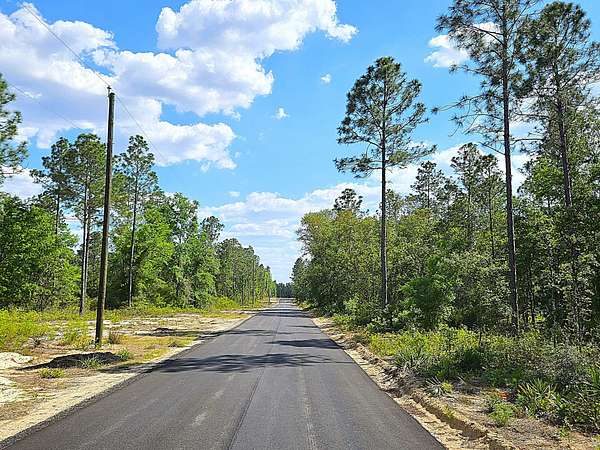 2.19 Acres of Land for Sale in Blackshear, Georgia