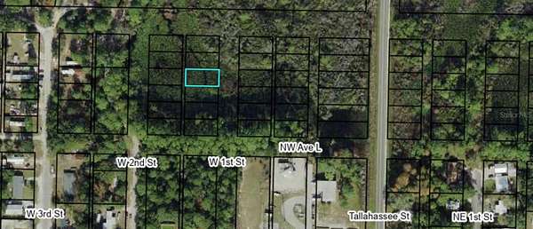 0.11 Acres of Residential Land for Sale in Carrabelle, Florida