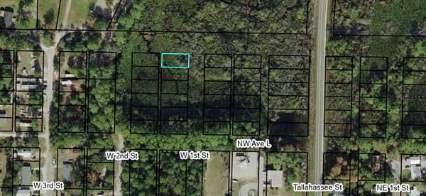 0.11 Acres of Residential Land for Sale in Carrabelle, Florida