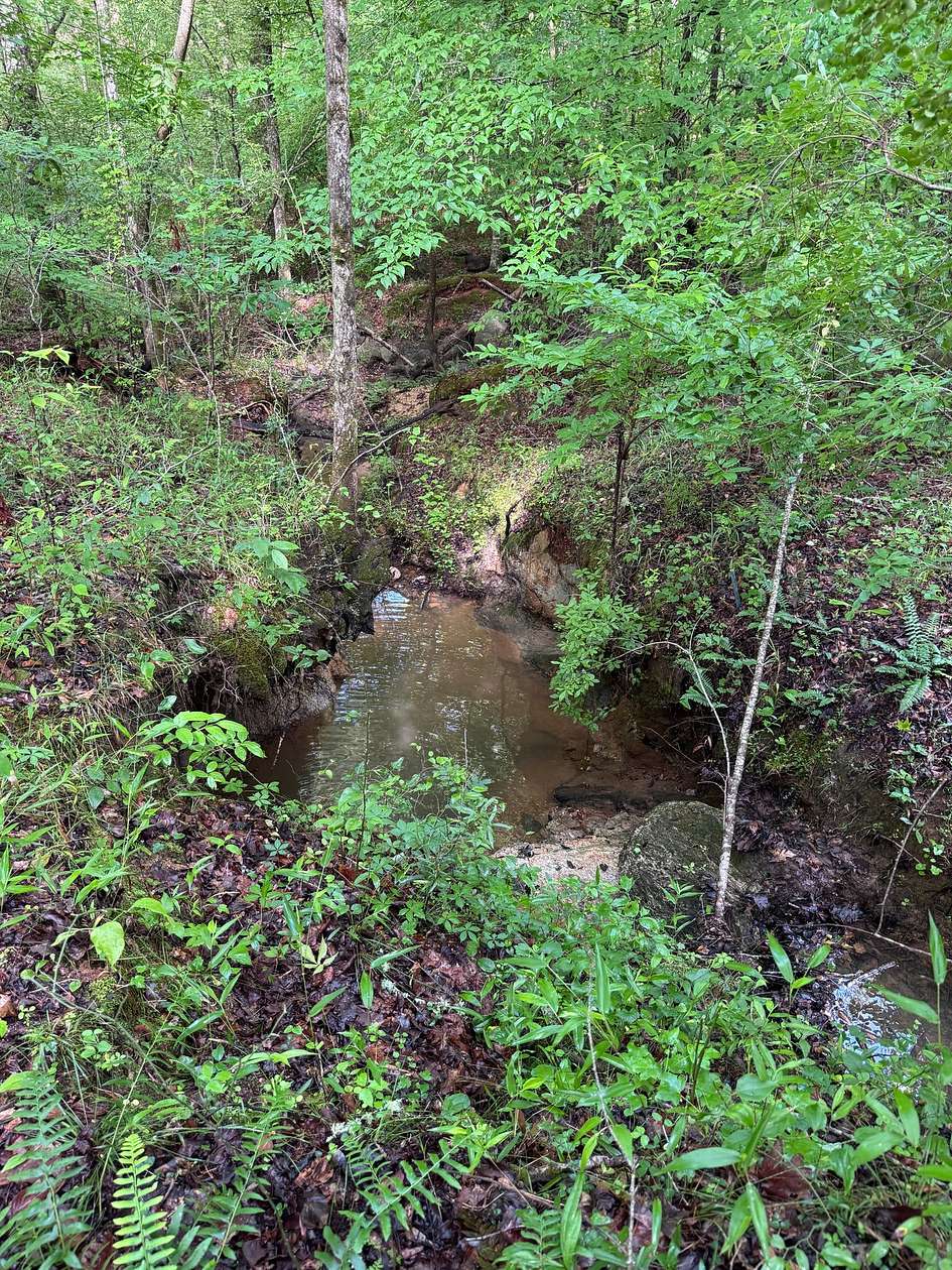 56.4 Acres of Recreational & Residential Land for Sale in Thomaston, Georgia
