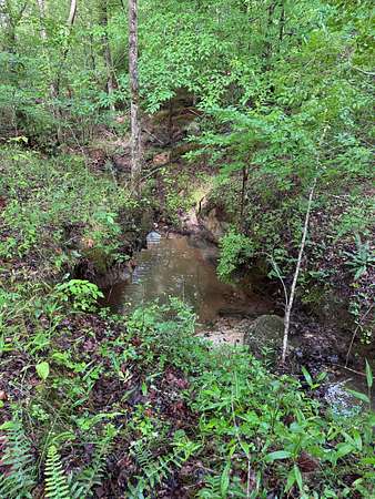 56.4 Acres of Recreational & Residential Land for Sale in Thomaston, Georgia