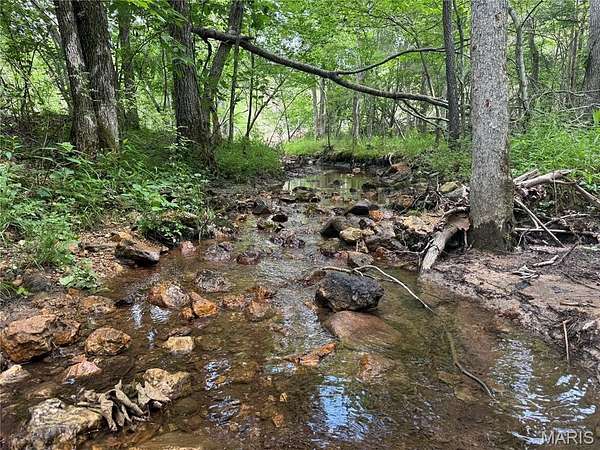 79 Acres of Land for Sale in Annapolis, Missouri