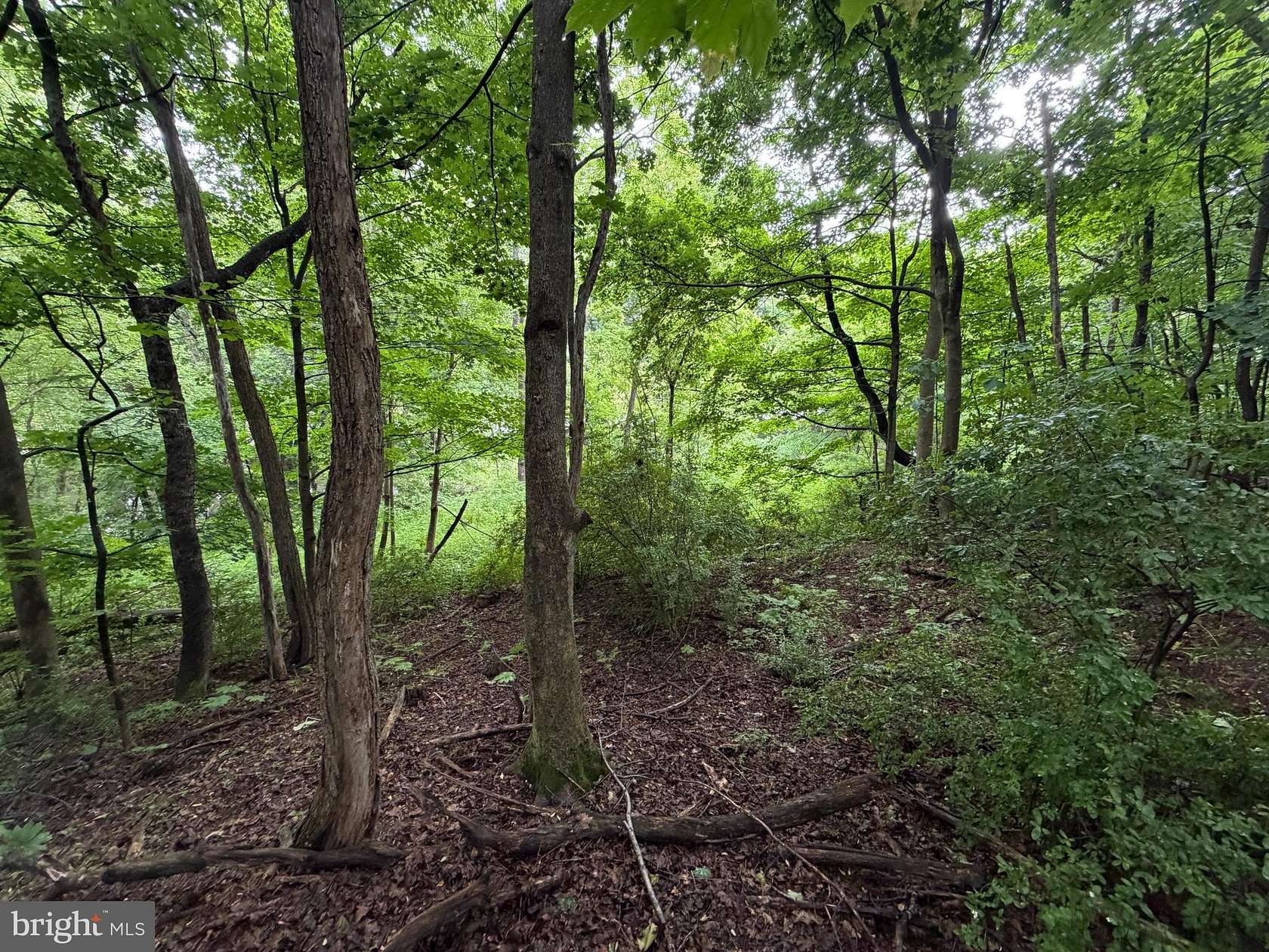 1.42 Acres of Land for Sale in Everett, Pennsylvania