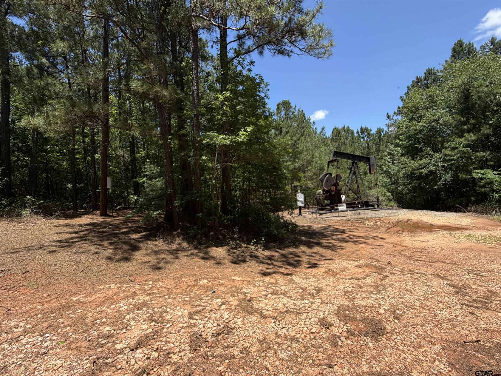 21.8 Acres of Land for Sale in Overton, Texas
