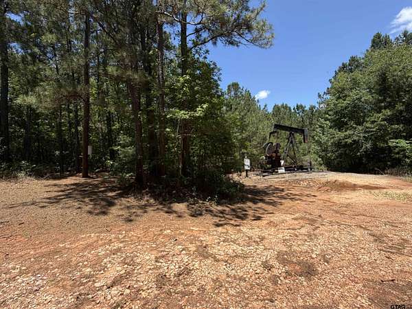 21.8 Acres of Land for Sale in Overton, Texas