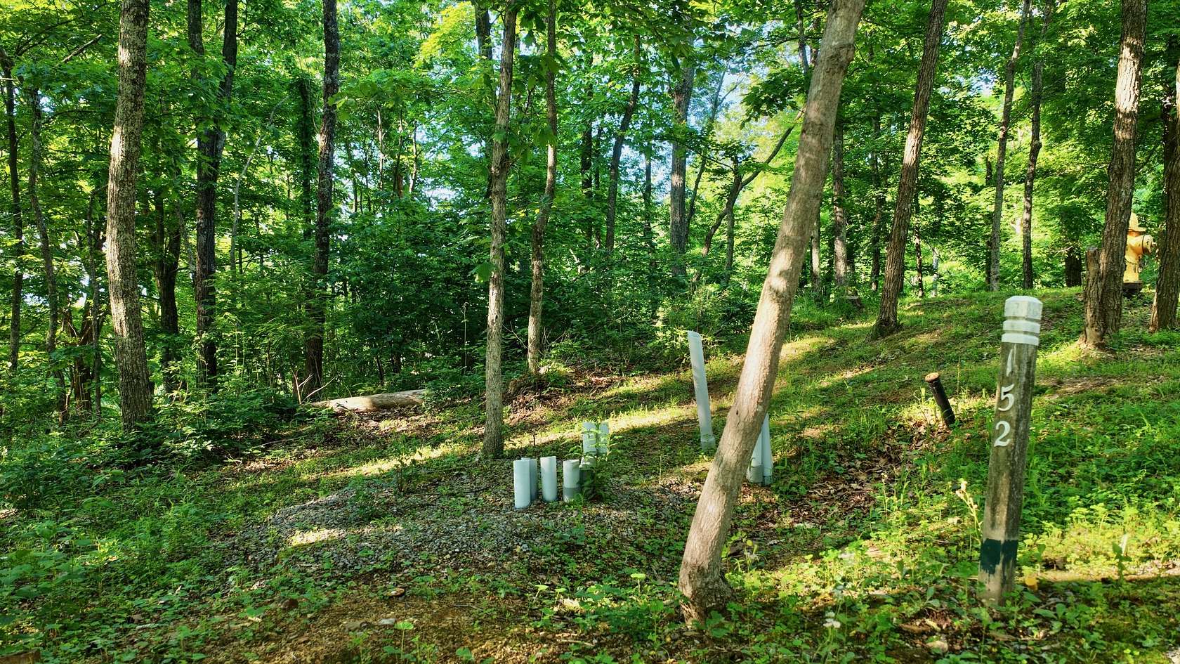 2 Acres of Residential Land for Sale in Caldwell, West Virginia