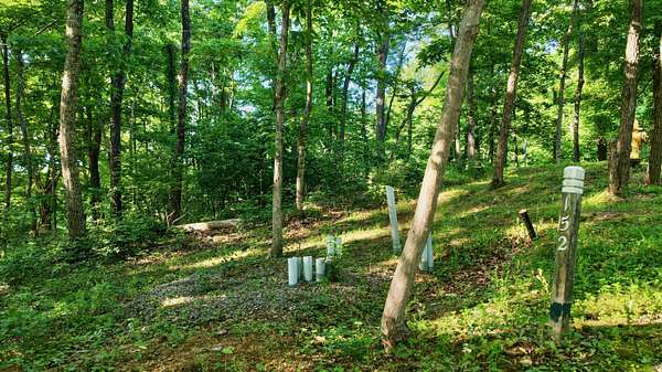 2 Acres of Residential Land for Sale in Caldwell, West Virginia