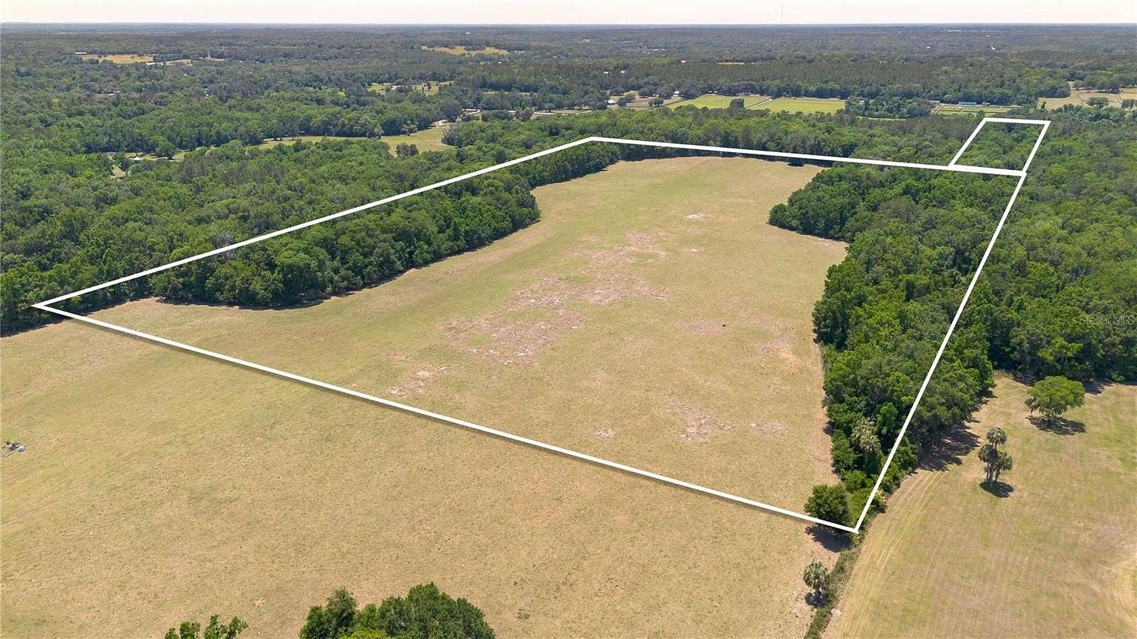 60 Acres of Land for Sale in Reddick, Florida