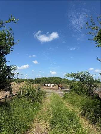 12.4 Acres of Land for Sale in Taft, Texas