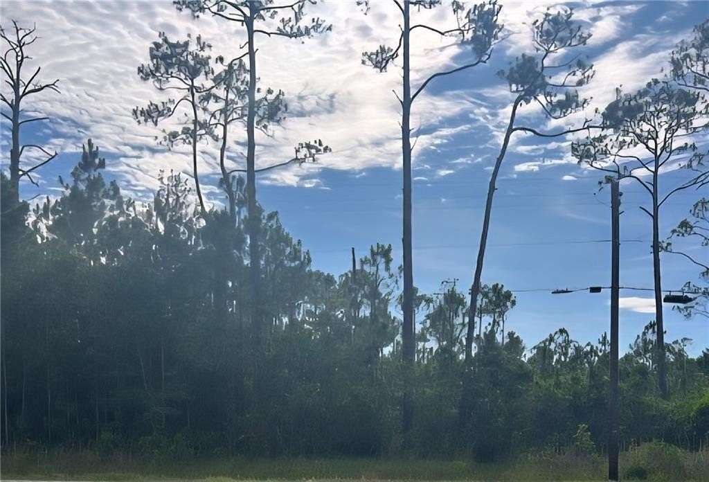 1 Acre of Residential Land for Sale in Coden, Alabama