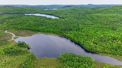 612 Acres of Recreational & Residential Land for Sale in Bucksport, Maine