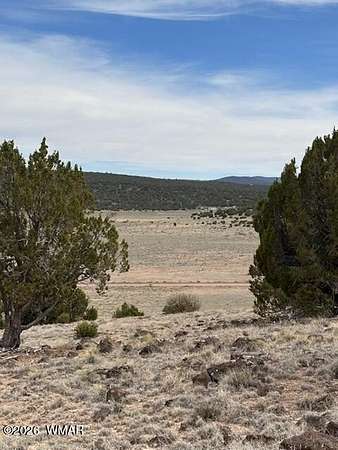 1.17 Acres of Residential Land for Sale in Concho, Arizona