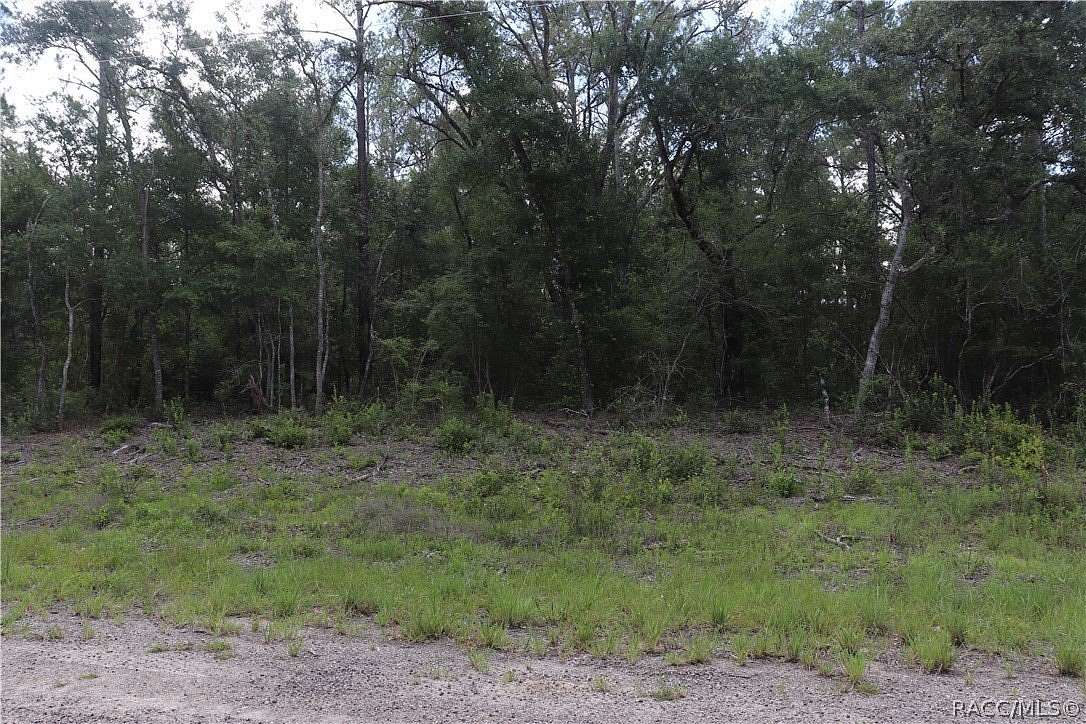 0.28 Acres of Residential Land for Sale in Dunnellon, Florida
