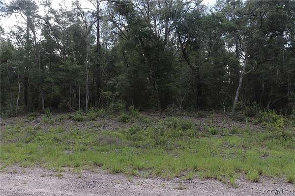 0.28 Acres of Residential Land for Sale in Dunnellon, Florida